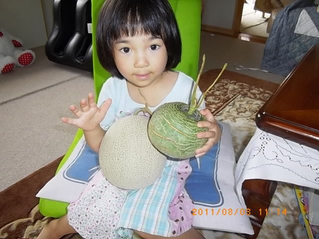 一代目鉢植えスイカの食味