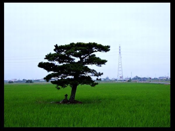 今日の100分の3