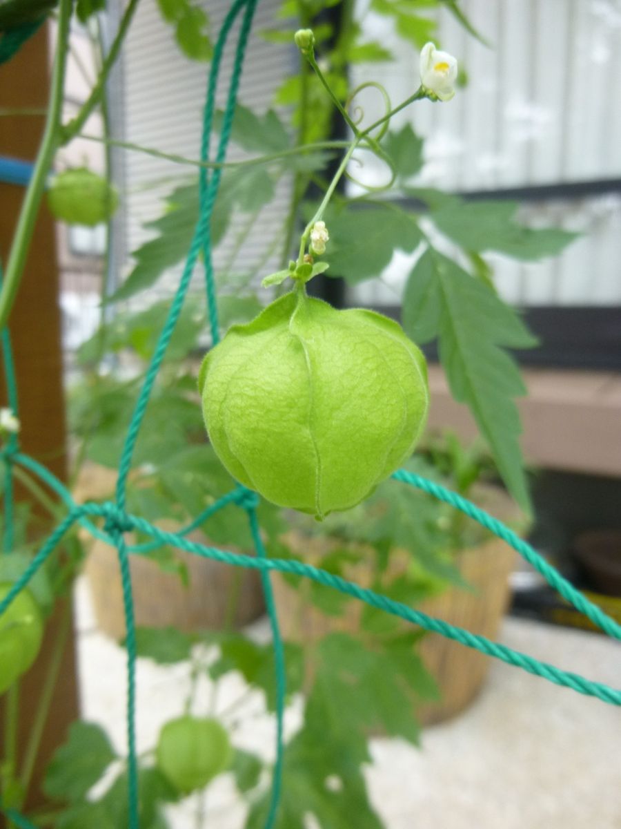 今日は雨・・・(＠_＠;)