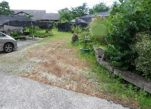 住友化学園芸さんの『草退治』を使用してみました。