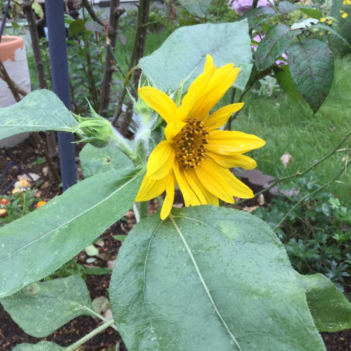 一歩 踏み出す勇気、、