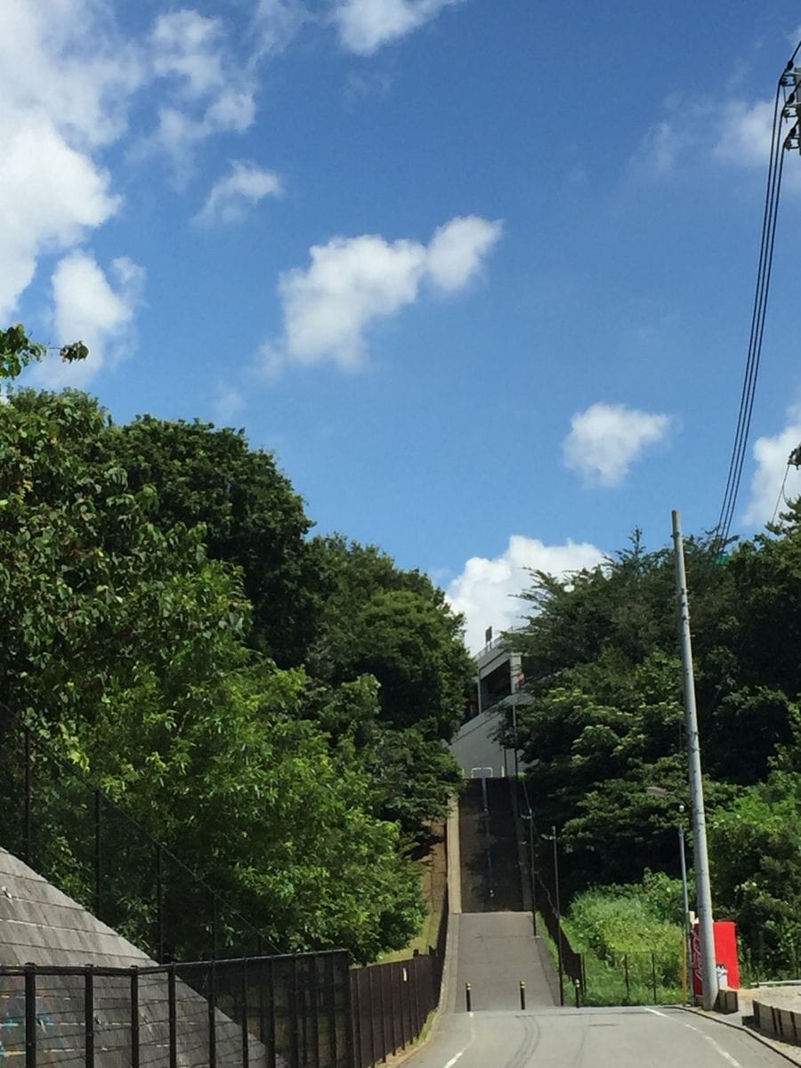 ヤブランの花🌸🌸と空の景色🌻