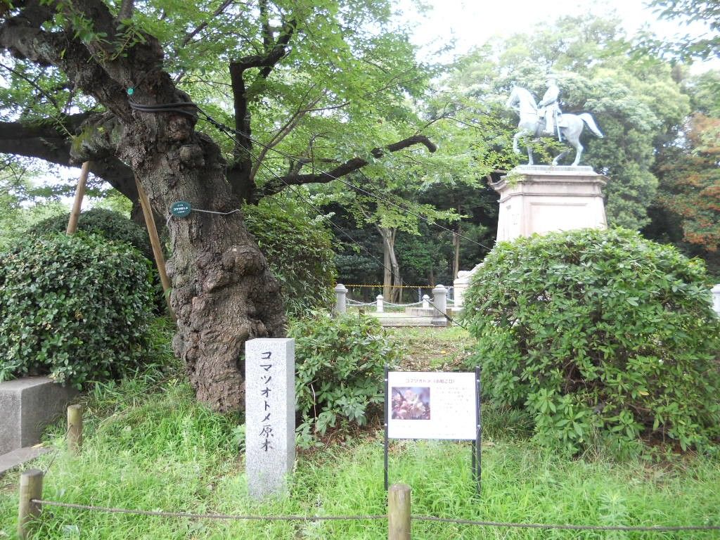 上野恩賜公園で熱中症(◎_◎;)