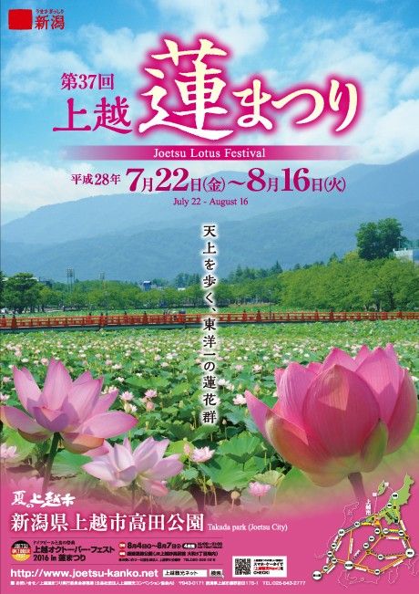 上越蓮まつり…10万個に1個の確率！