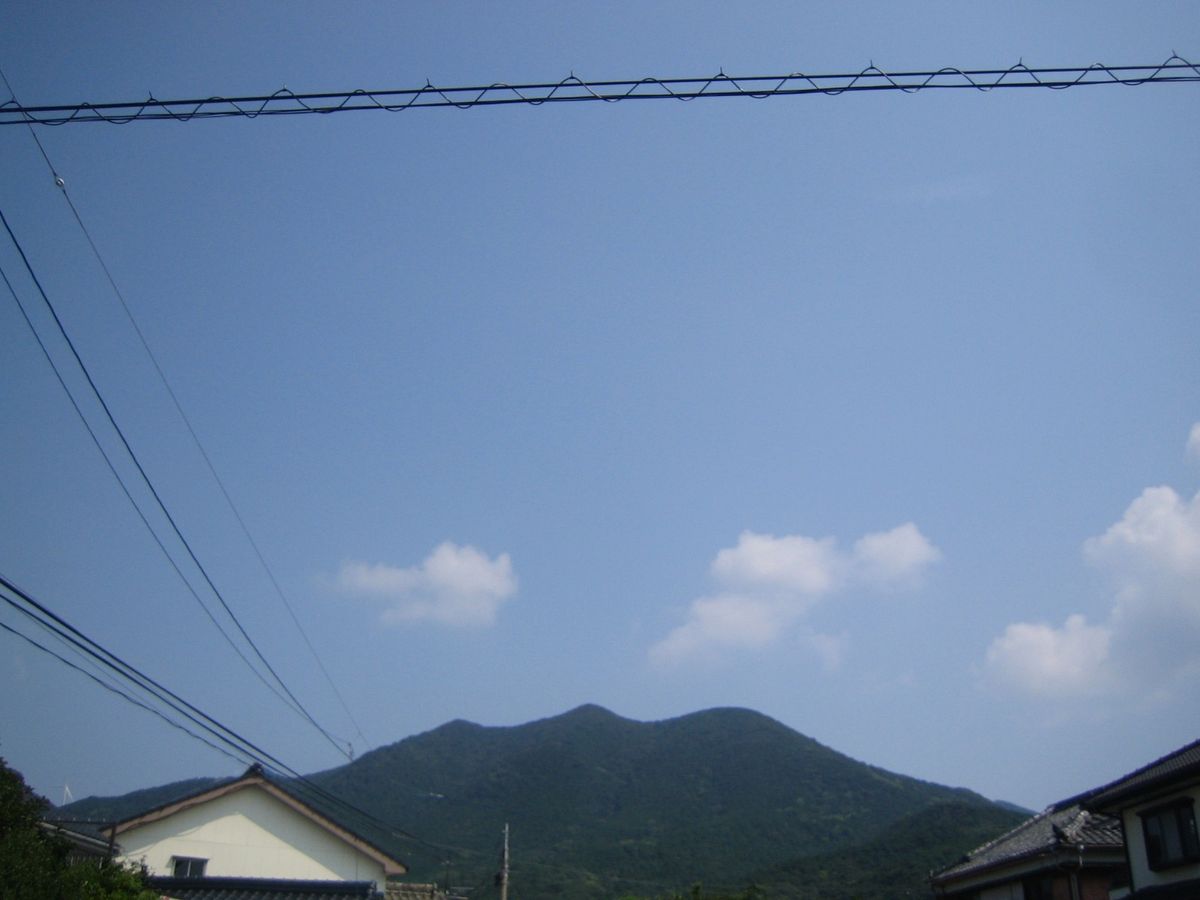 紫の風蘭と夏空