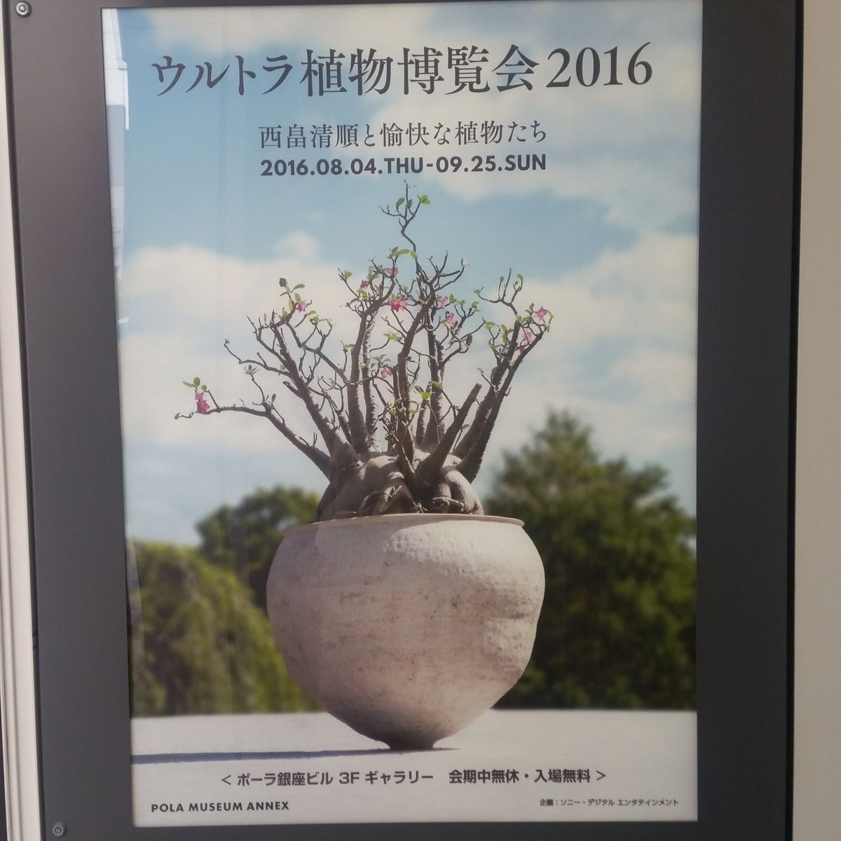 ウルトラ植物博覧会２０１６