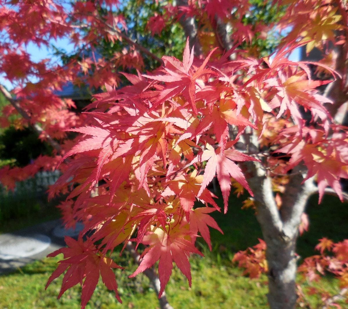 行ってきました、避暑・・・