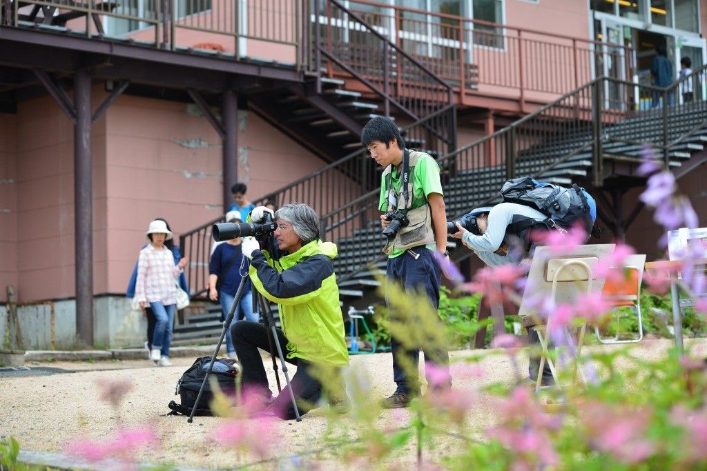 植物写真のワークショップ