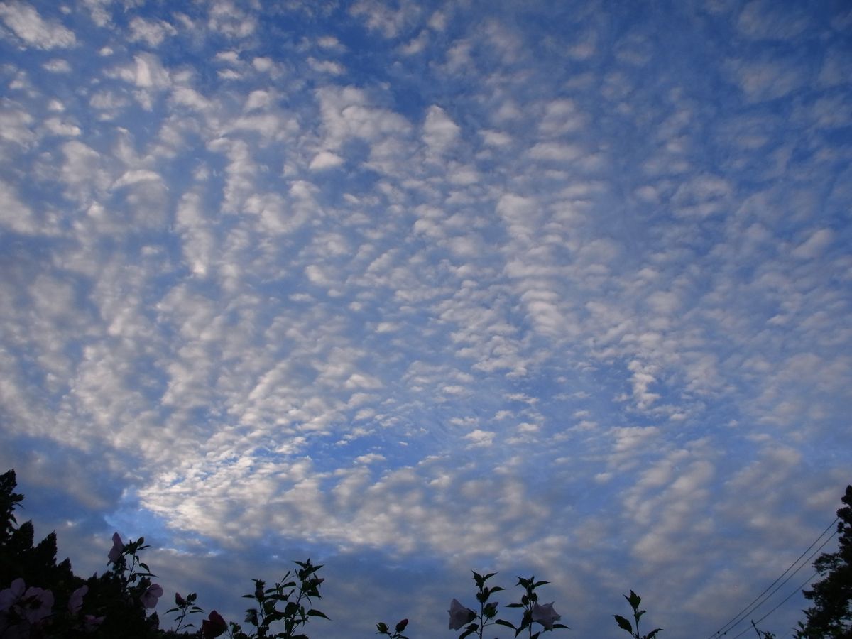 夏の空