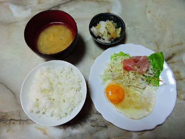 食事療法MS④186日目(1281日目)