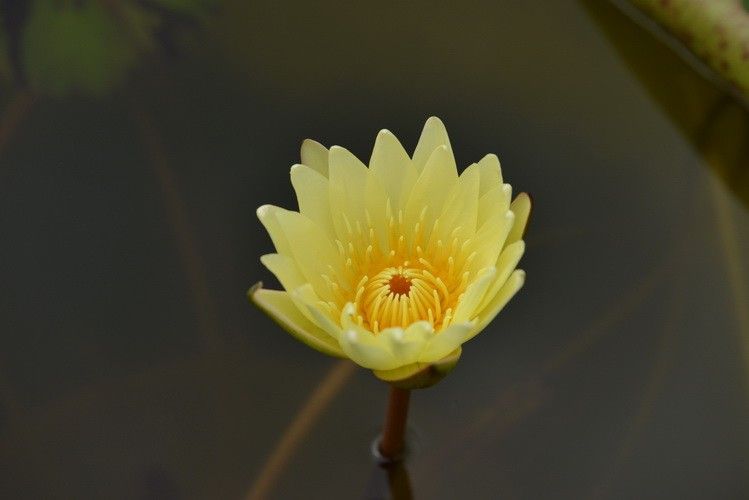 木曽三川公園・フラワーパーク江南