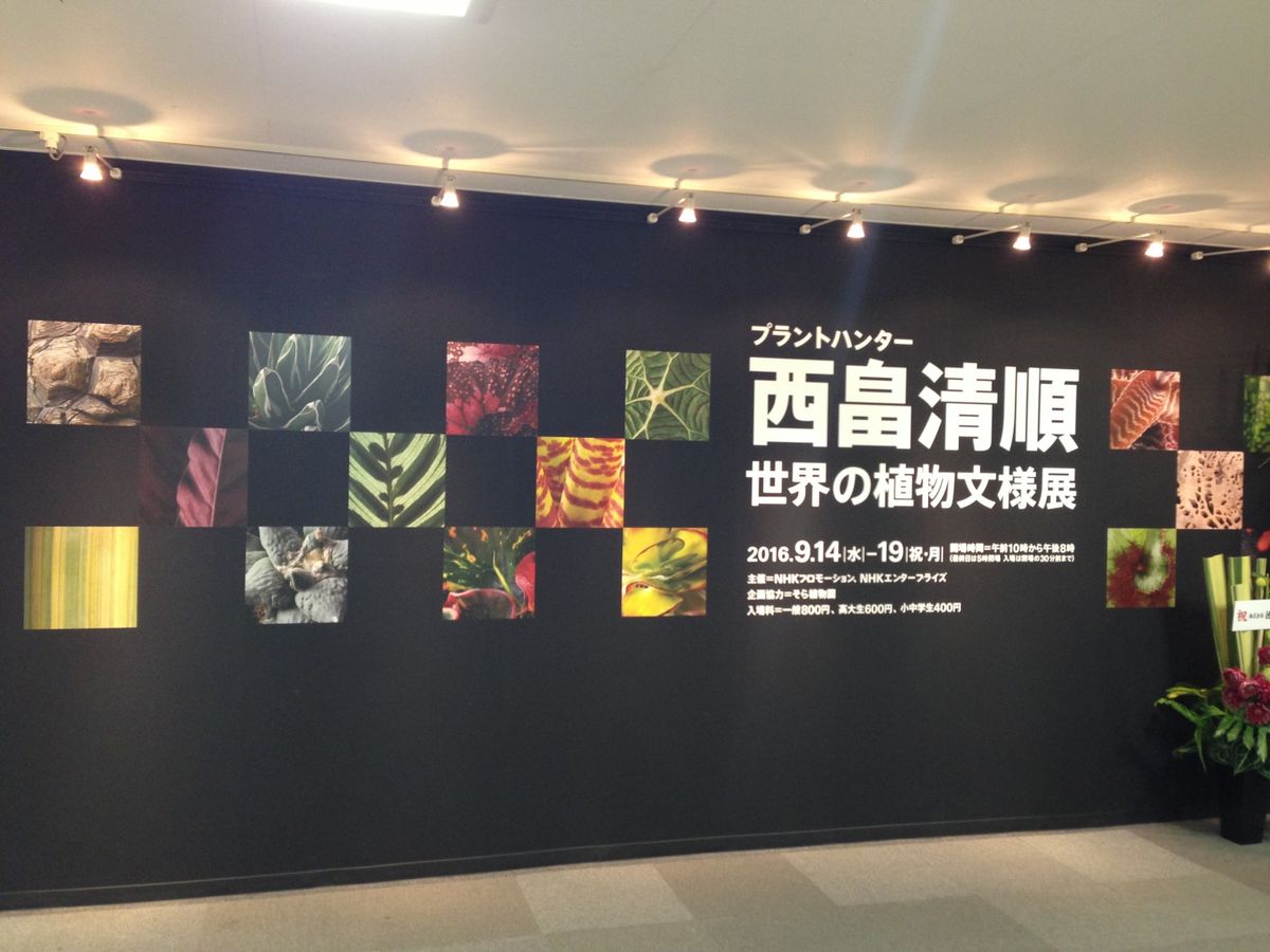 西畠清順 世界の植物文様展 ①