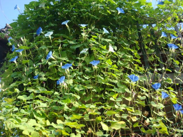 夏休み最終日！