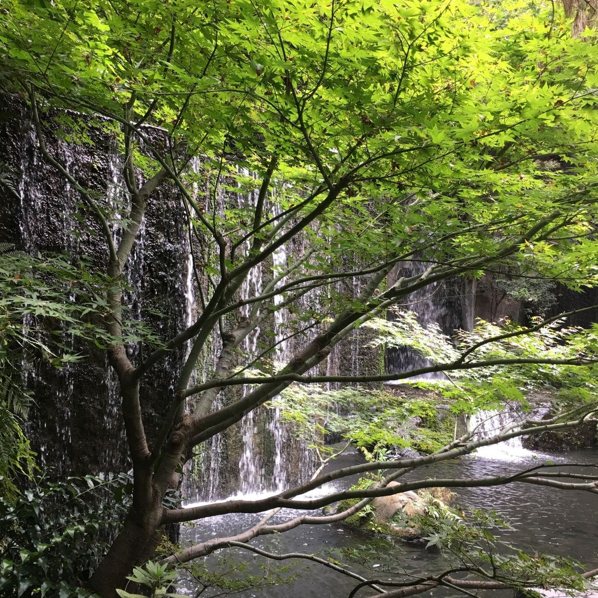 目黒雅叙園の滝