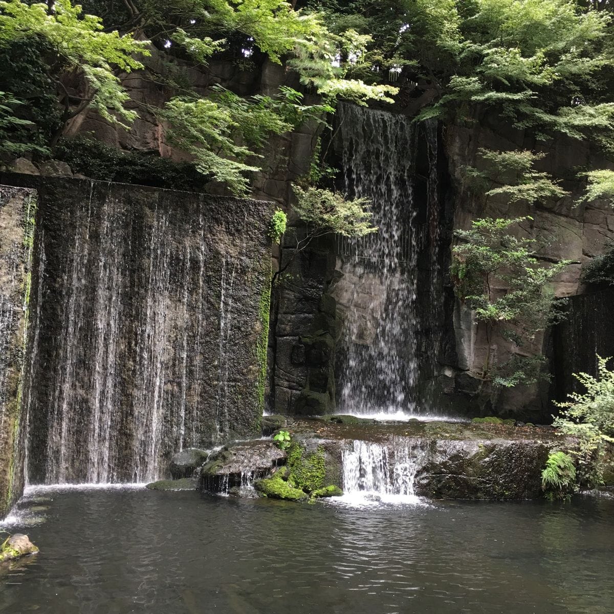 目黒雅叙園の滝