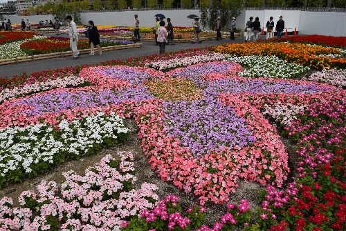 うめきたガーデンで花散歩。