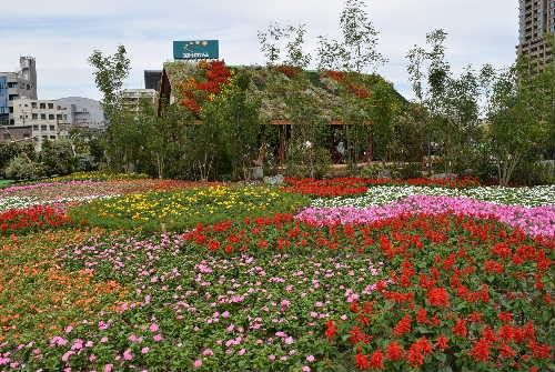 うめきたガーデンで花散歩。