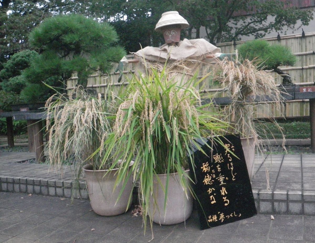 実り。それは農業の喜び