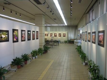 「写真展　南部アフリカ砂漠植紀行」のご紹介