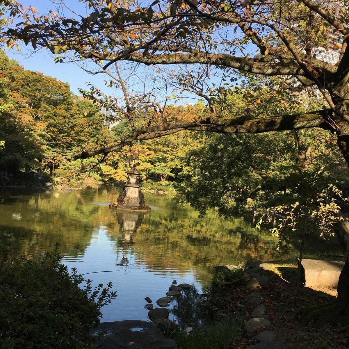 都会のオアシス