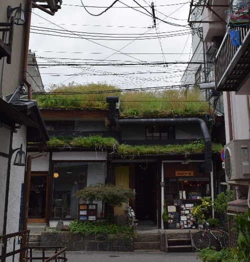 花散歩で訪れた草屋根の長屋さん。