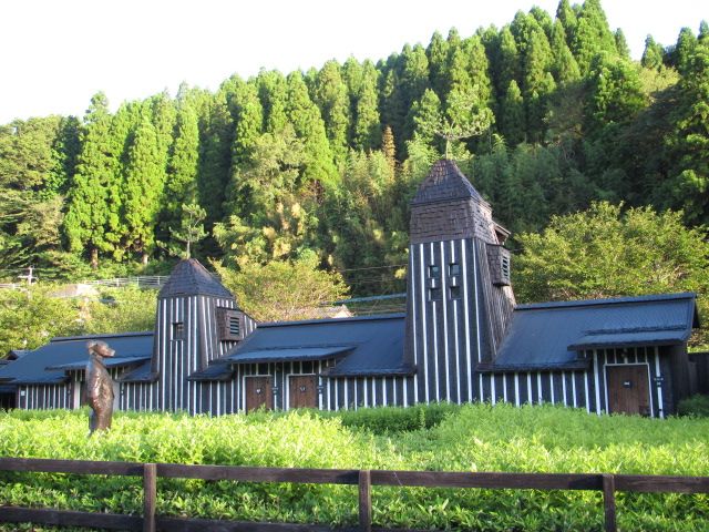 長湯温泉の野の花①