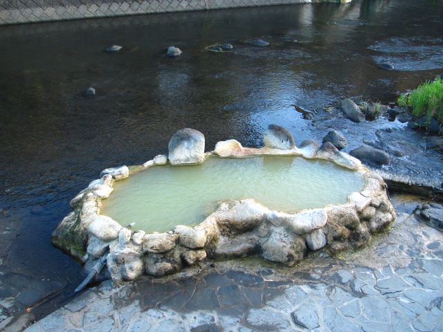 長湯温泉の野の花②