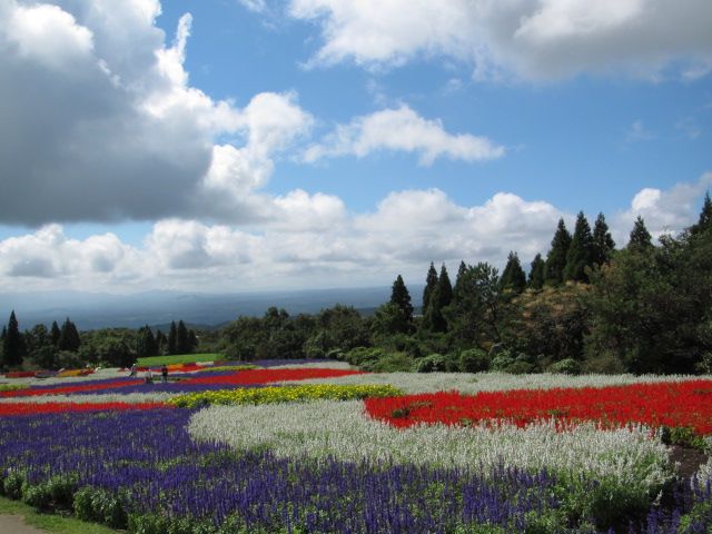 くじゅう花公園①