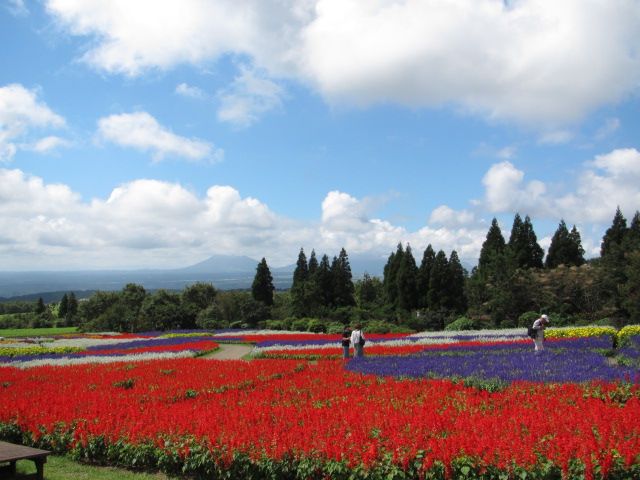 くじゅう花公園①