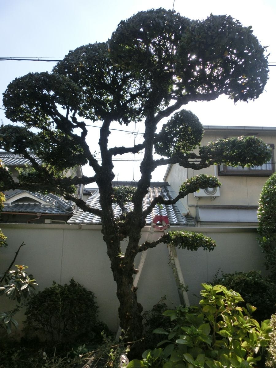 ひと休み、雨休み、行ってきたけど