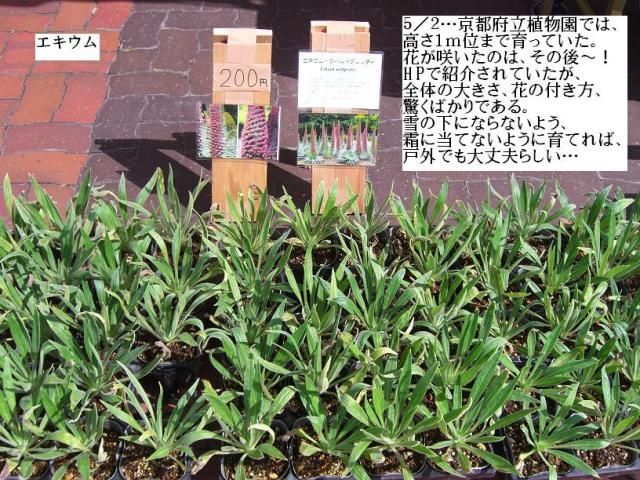 新潟県立植物園…家族連れで賑わっていた！