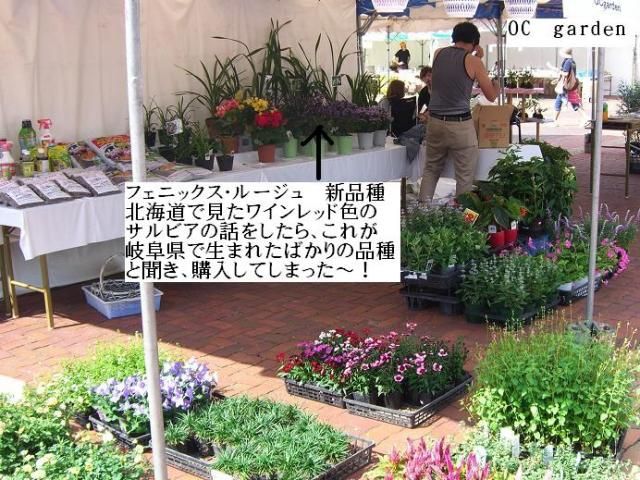 新潟県立植物園…家族連れで賑わっていた！