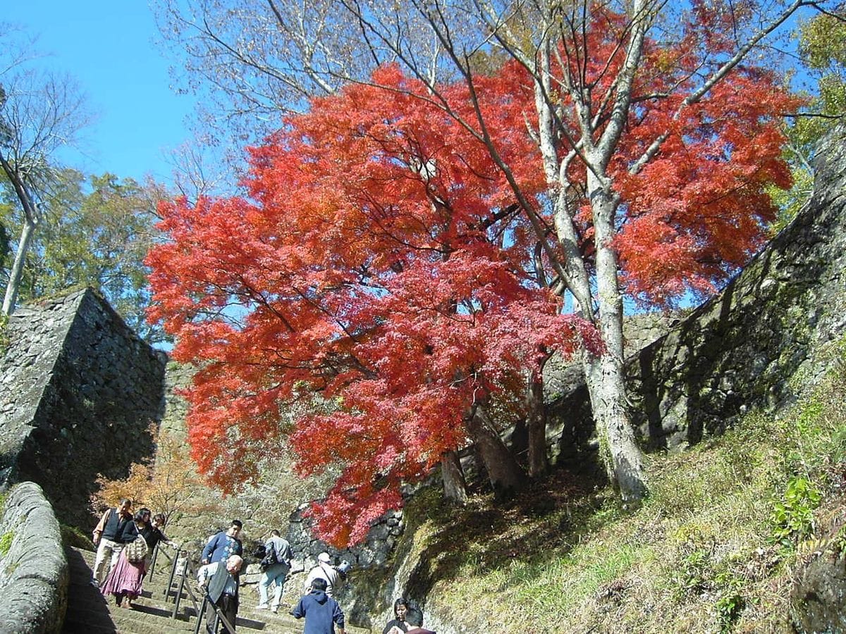 🍁紅葉の秋です...竹田(岡城阯)旅記🍁