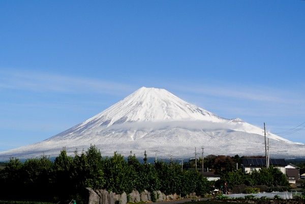 特別寒かったけれど・・・