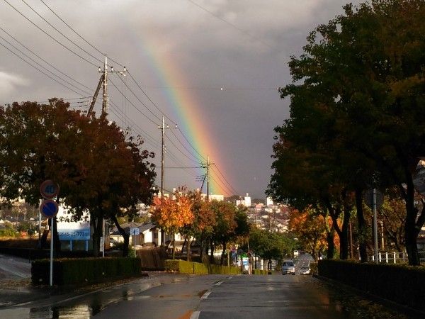 特別寒かったけれど・・・