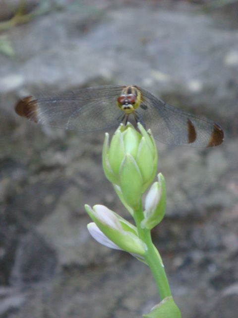 秋分の日！