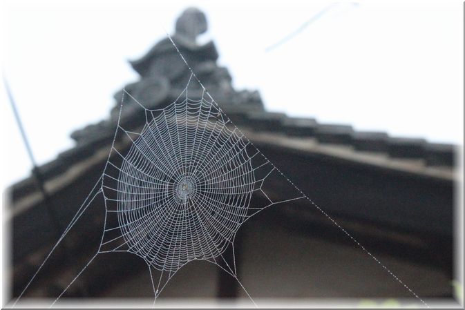 雨上がり