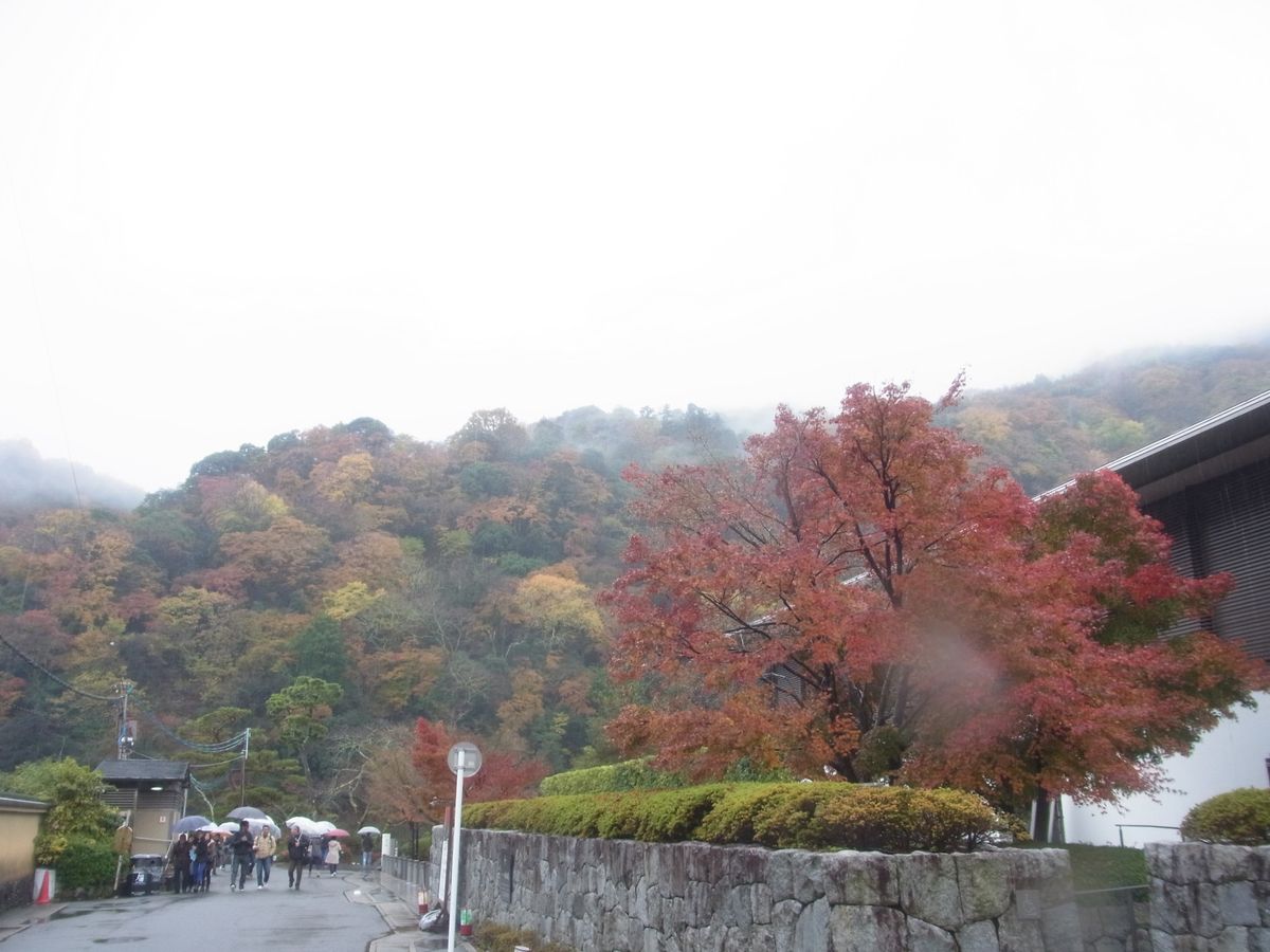 雨の京都散策