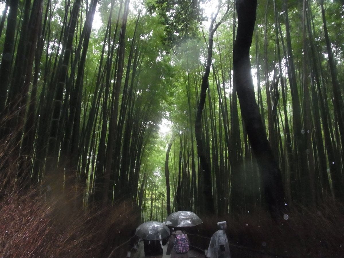 雨の京都散策