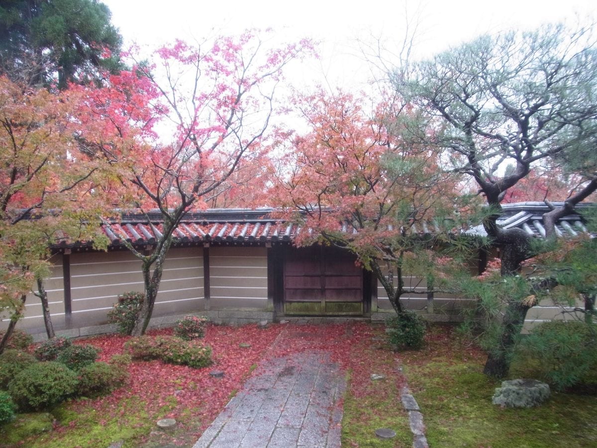 雨の京都散策