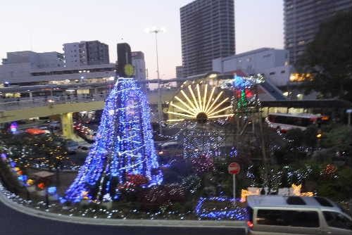 花散歩でした。高槻景観園芸クラブを見学してきました。