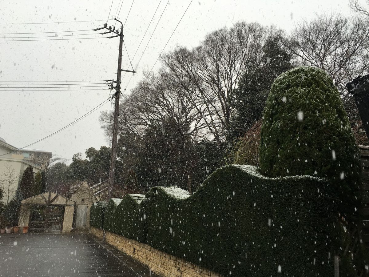 雪空