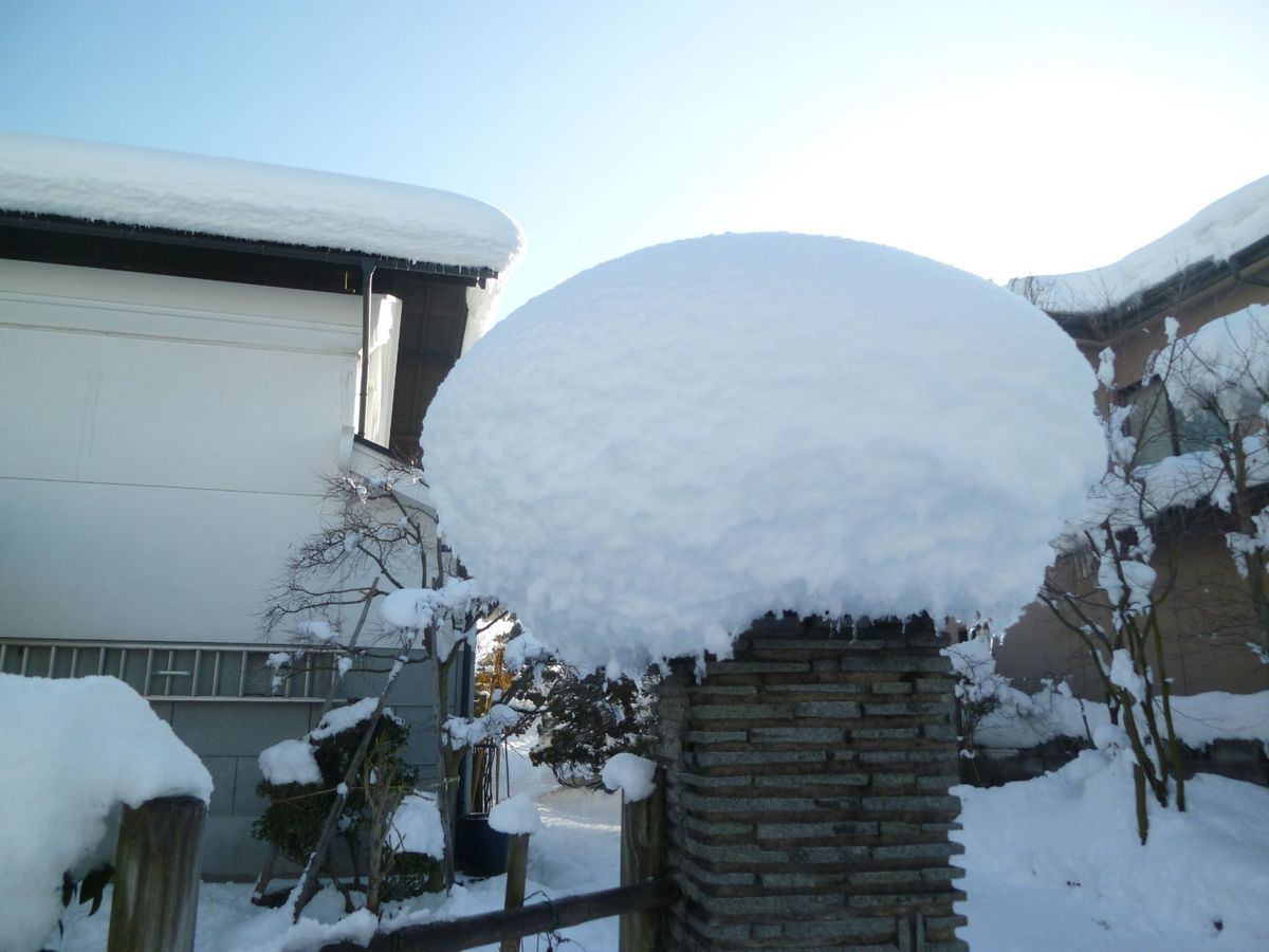 雪の被害