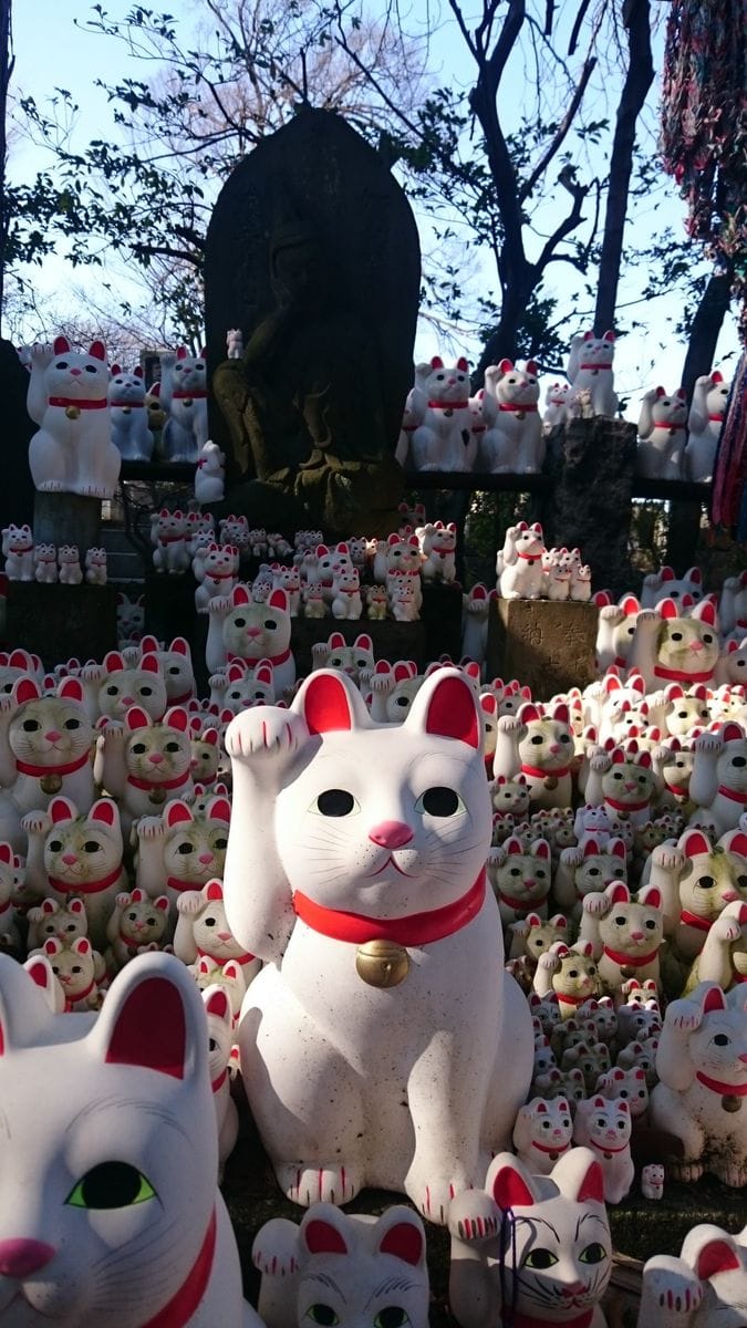 豪徳寺に行って来ましたニャン