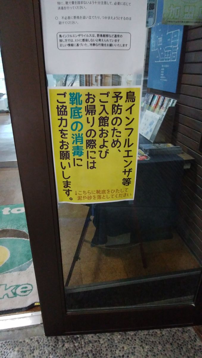 鳥ネタ🐥鴨池に行ってきました☺