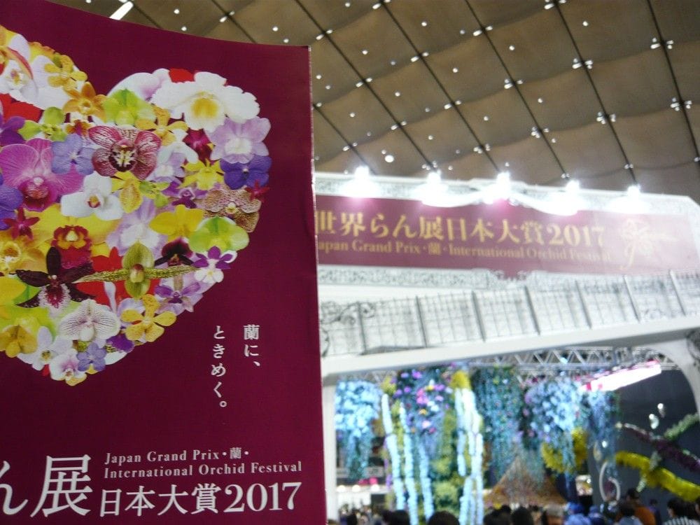 世界ラン展2017