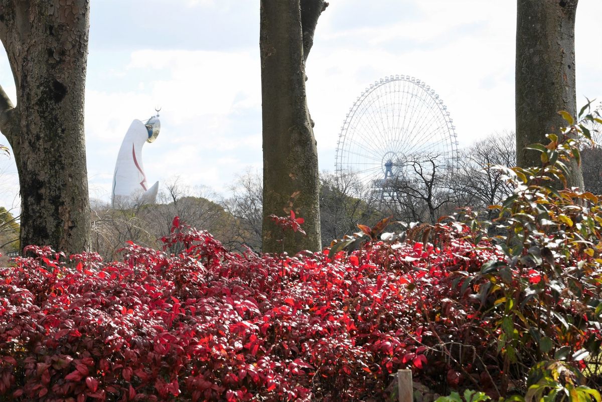 園内散歩、どこからも見えるよ太陽の塔