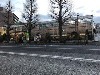 クリスマスローズ＆音の葉いってきた！