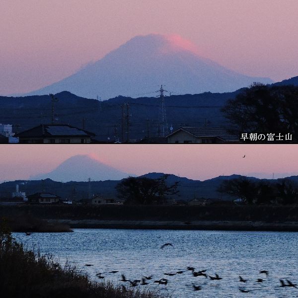 這ってでもウォーキングの気合こそ。ウォーキングMS⑤15日目(1475日目)