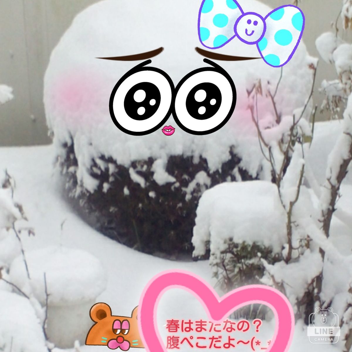 ドッサリと春雪（＞ｗ＜ ）